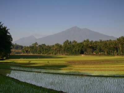 Elementary Principal photo